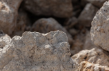 长石矿：地壳中常见的矿石